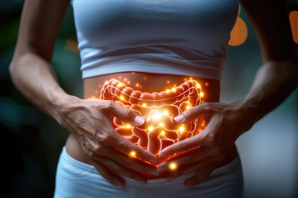 Woman holding her stomach with glowing illustration of the gut — gut bacteria can influence how the body processes soy and phytoestrogens.