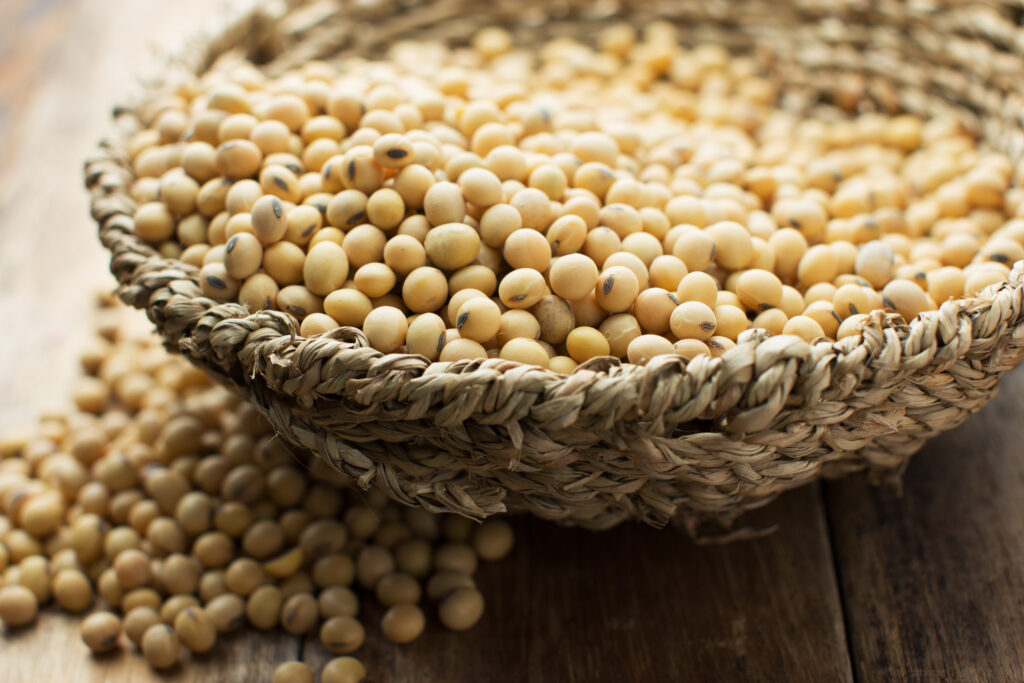 Close-up of soybeans in a woven basket — soy is one of the main natural sources of isoflavones studied for menopause support.